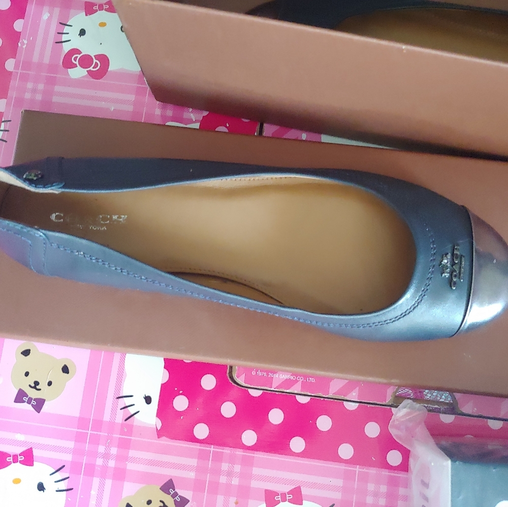 Brand New Coach Ballet Flats